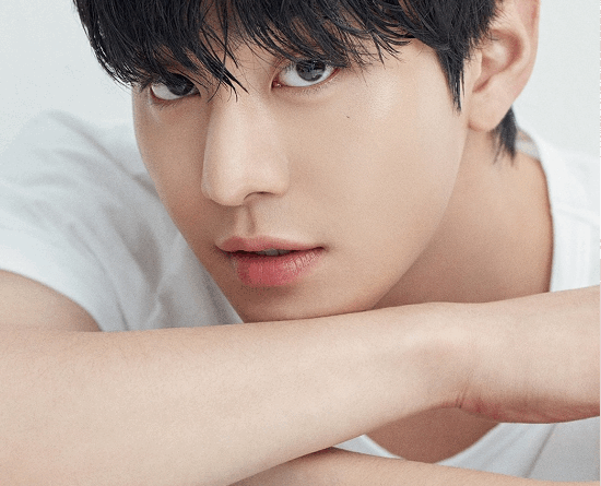 Ahn Hyo-seop debuts in fantasy action film and Netflix anime
