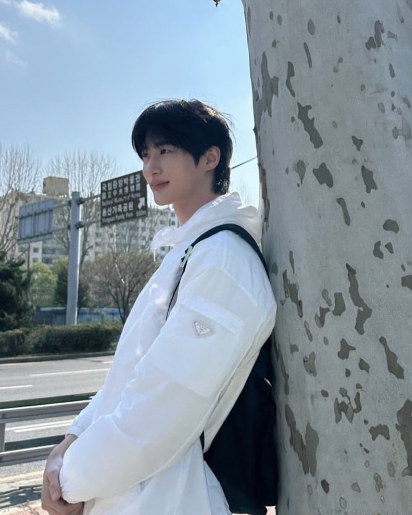 Byeon Woo-seok captured shining in sunlight surrounded by cherry blossoms in spring