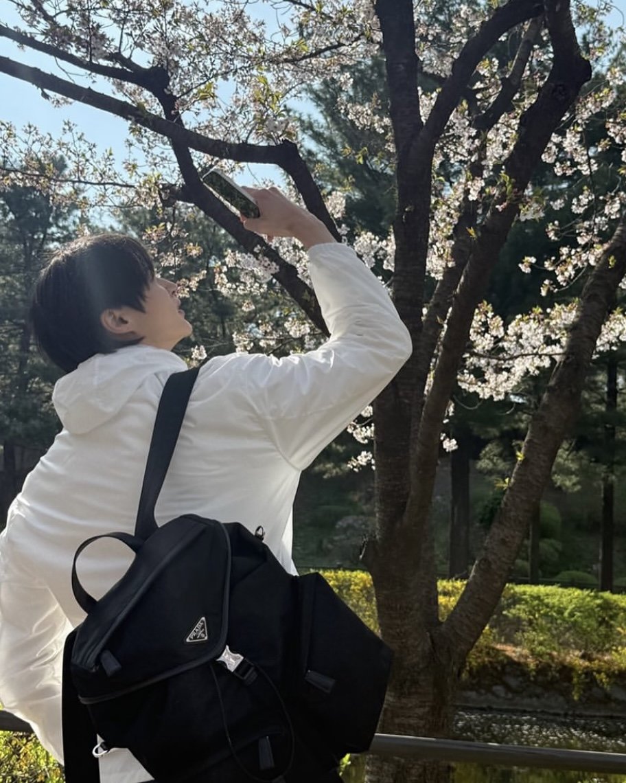Byeon Woo-seok's crisp white outfit and smile contrast the vibrant cherry blossoms