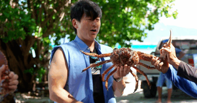 Caribbean Rice on SBS showcases seafood feasts and unexpected celebrity talents