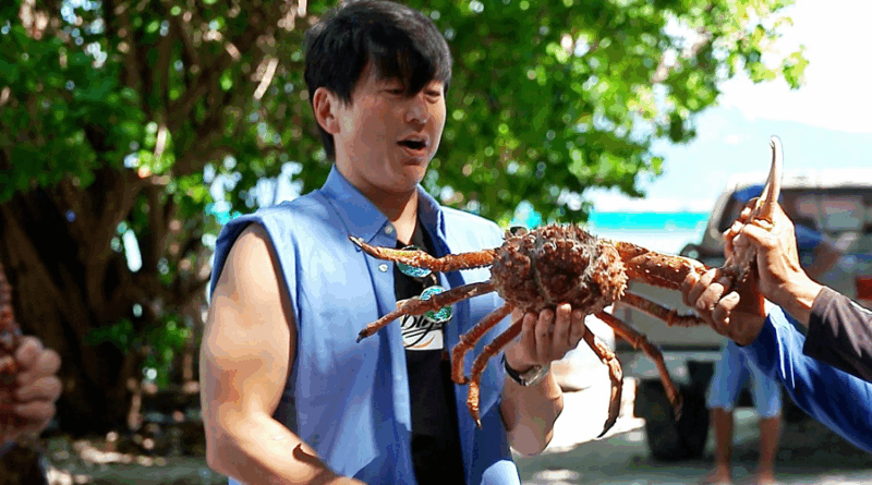 Caribbean Rice on SBS showcases seafood feasts and unexpected celebrity talents