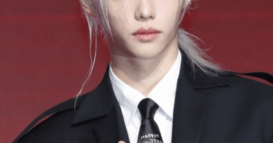 Stray Kids Felix receives treatment while continuing world tour performances