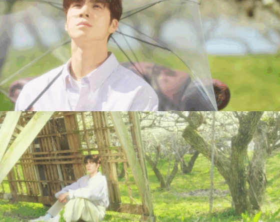 Jeong Dongwon performs Flower Lantern live clip in serene spring setting