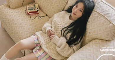 K-pop Star BoA Faces Defamation as SM Entertainment Takes Legal Action