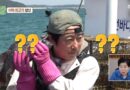 A Culinary Adventure on a Remote Island: A Glimpse into Korea’s Unique Variety Show