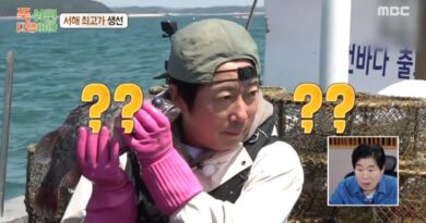 A Culinary Adventure on a Remote Island: A Glimpse into Korea’s Unique Variety Show