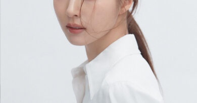 The Legal Battle Against Cyber Harassment Involving Actress Shin Se-kyung