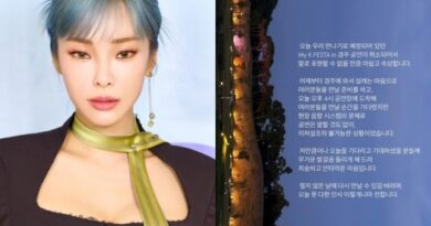 K-Pop Star Heize Regrets Cancelling Gyeongju Performance Due to Sound Issues