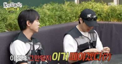 The Rise of Informal Comedy in Korean Entertainment: Haha and the ‘Big Release’
