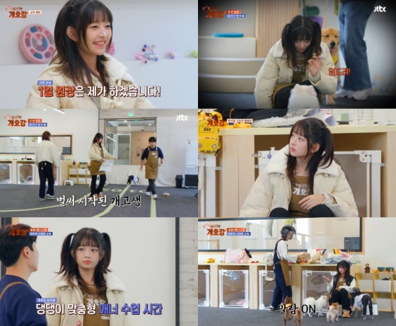 Discover IVE Rei's transformation into a dedicated educator on JTBC Dog Kindergarten