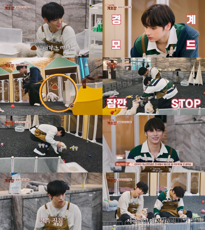 TXT stars Hueningkai and Soobin join JTBC's dog reality show as guest teachers
