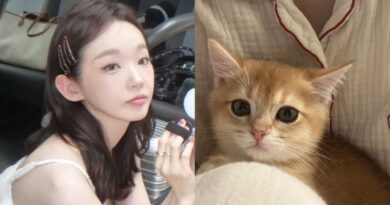 Kang Min-kyung’s Heartwarming Moments with Her Cats Captivate Fans