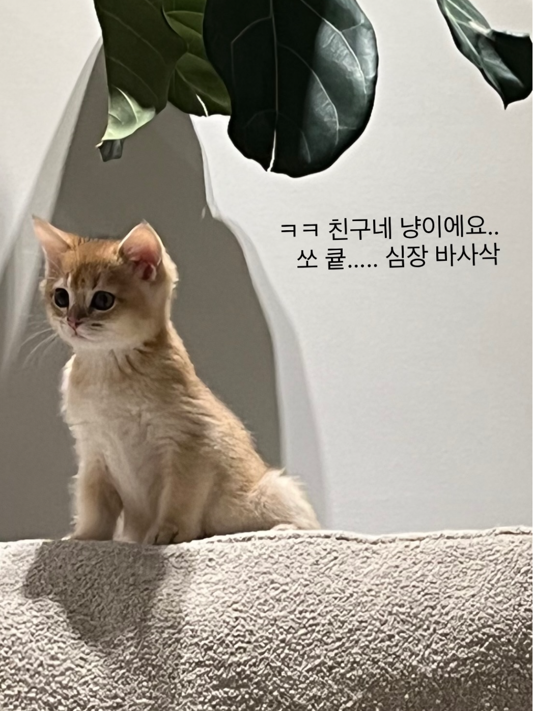 Kang Min-kyung of Davichi delights fans with adorable social media post featuring cats
