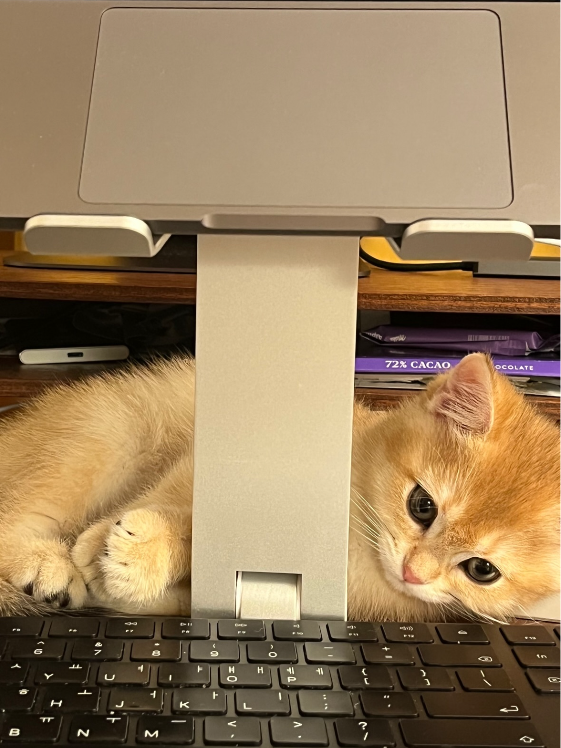 Kang Min-kyung posts on social media melting fans hearts with cute cat images