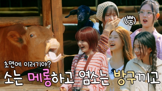 KiiiKiii unveils KiKiPangPang, marking 100 days with fan engagement and fun content