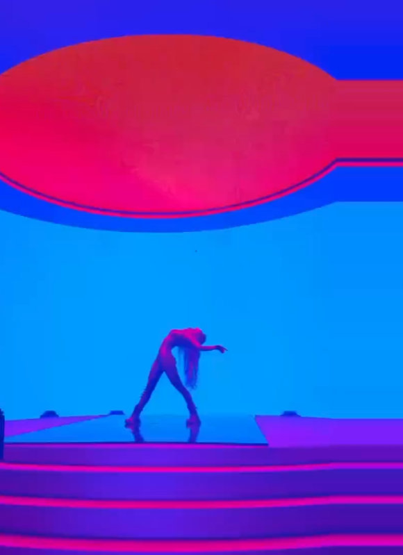 Exploring Lisa of BLACKPINK's artistic growth and plans for 2025