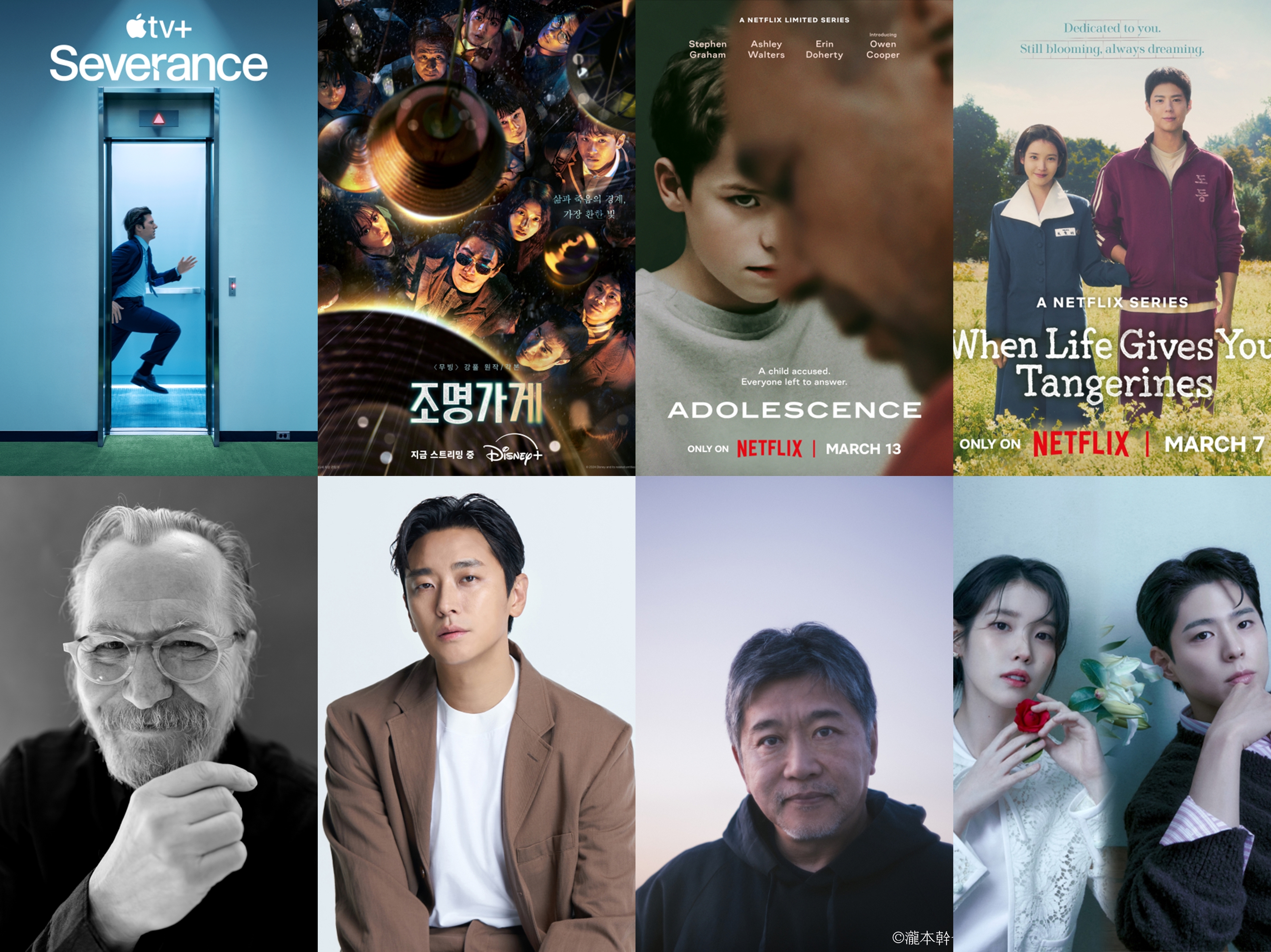 Seoul Drama Awards International event showcases diverse drama excellence.