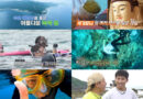 Dive into Taiwan’s Snorkeling Paradise: The Island Adventure
