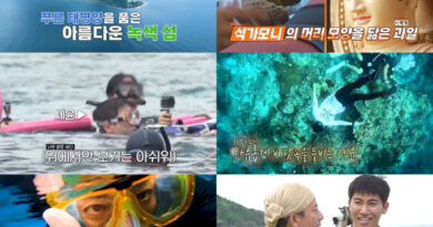 Dive into Taiwan’s Snorkeling Paradise: The Island Adventure